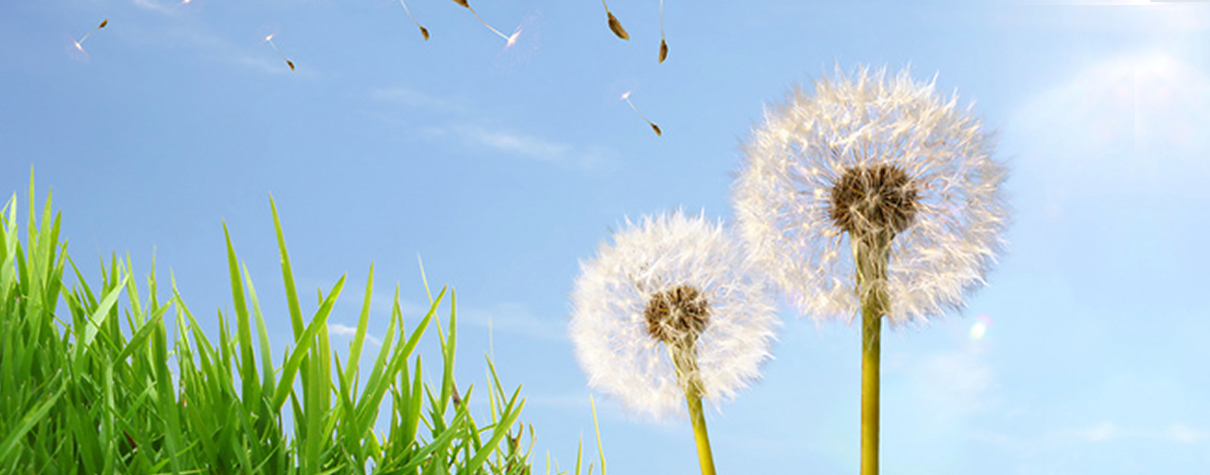 06allergologie 1210x475px