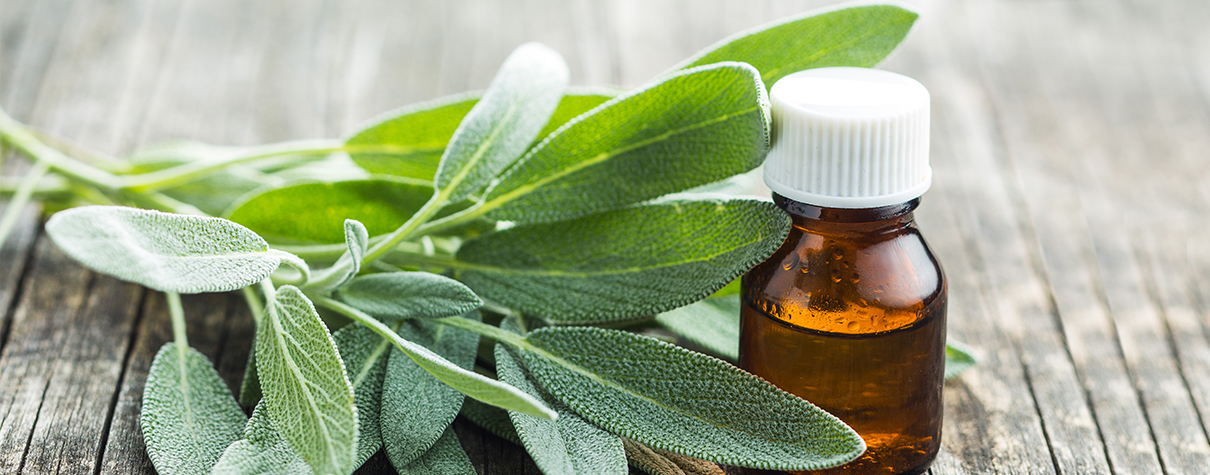 09phytotherapie 1210x475px